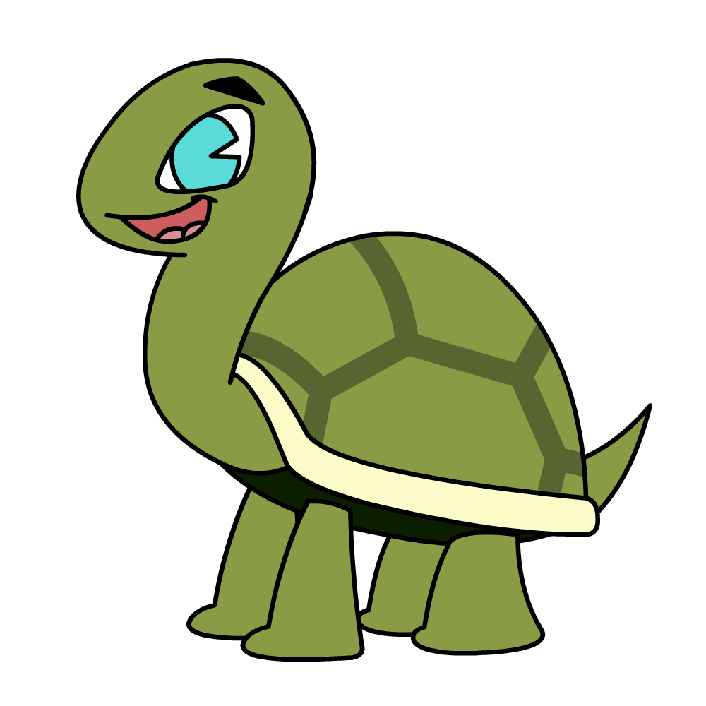 The Looney Turtle